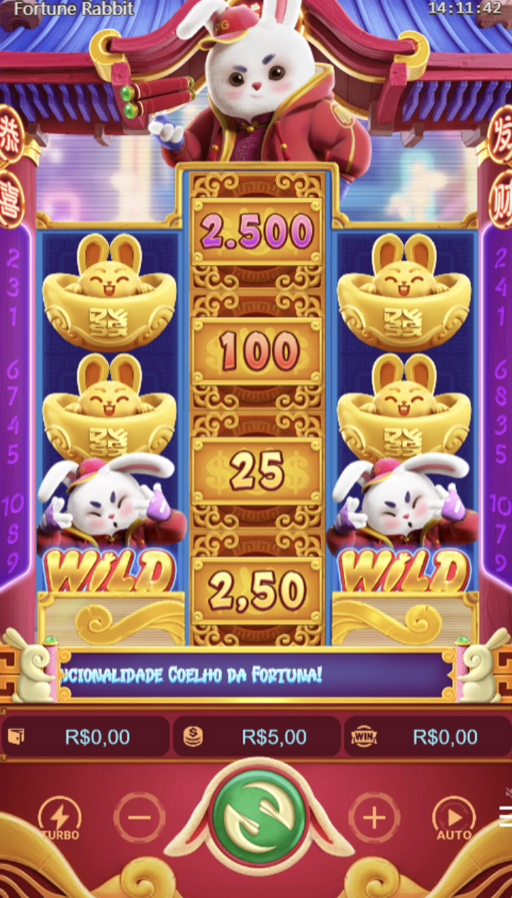 Fortune Rabbit