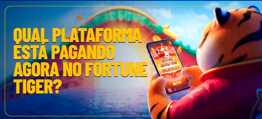Fortune tiger na Galera bet